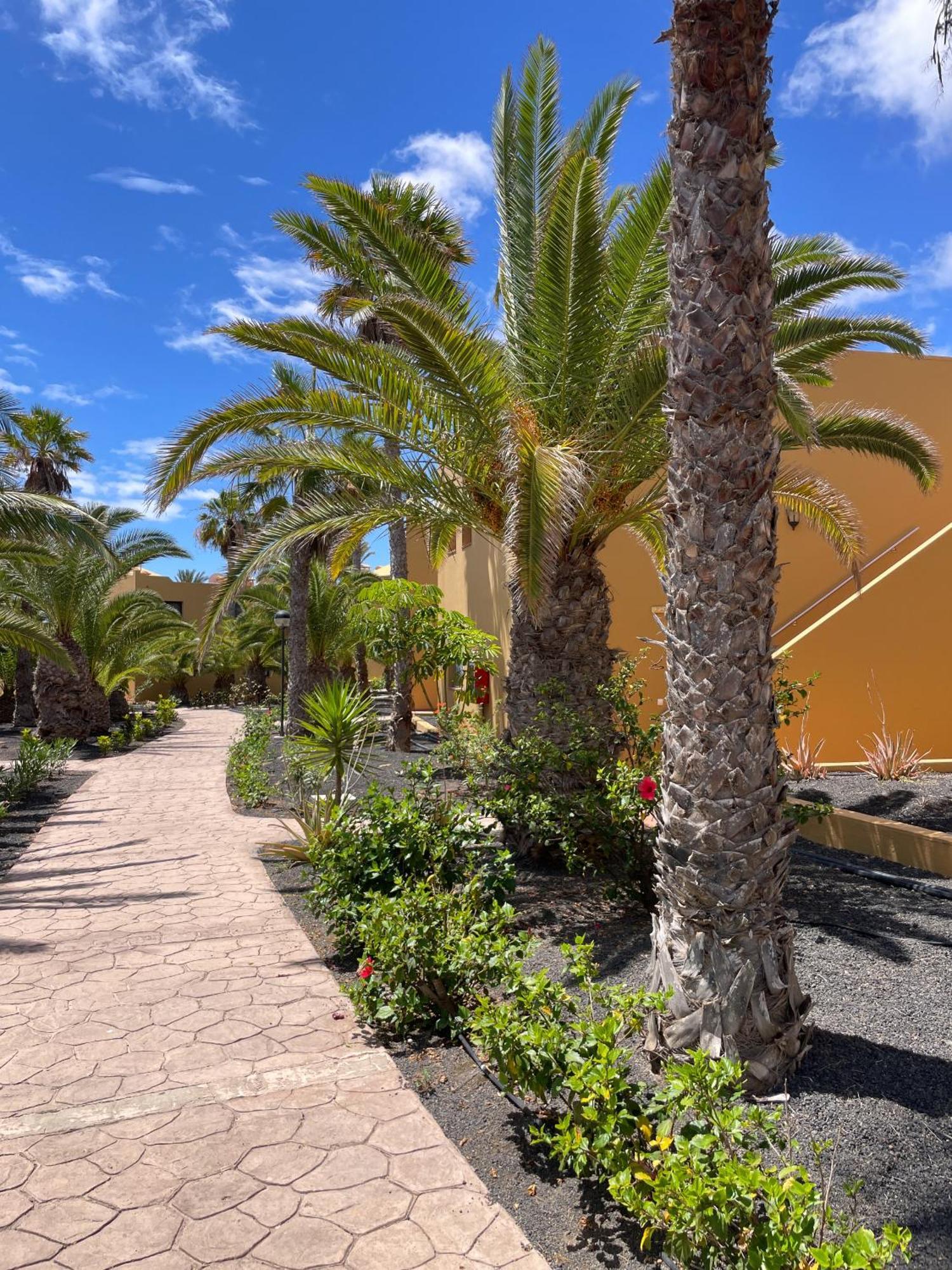 Apartmán B-Rent Casa Angela Pool View Corralejo Exteriér fotografie